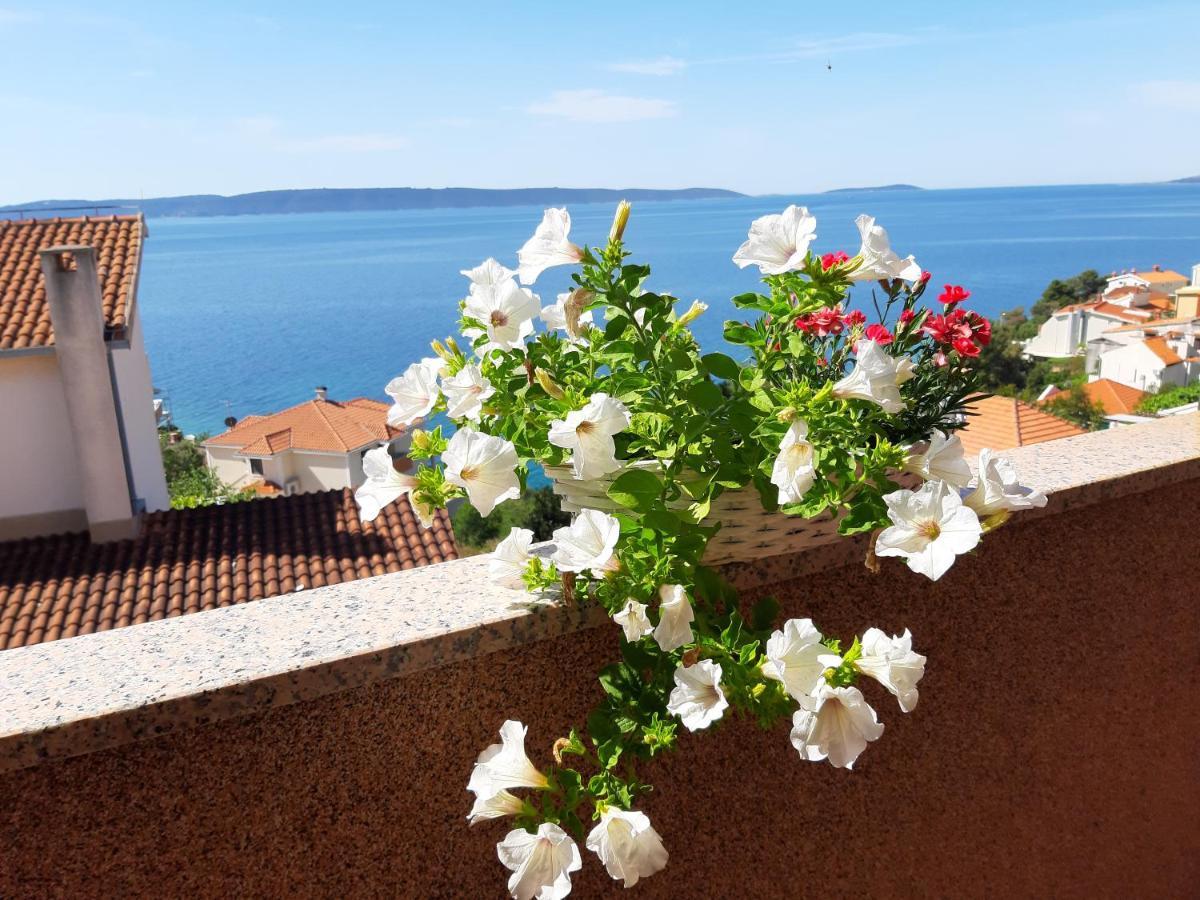 Villa Kovacevic トロギール エクステリア 写真